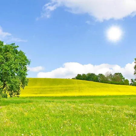 In Krems Iiwarderbrueck * Gols